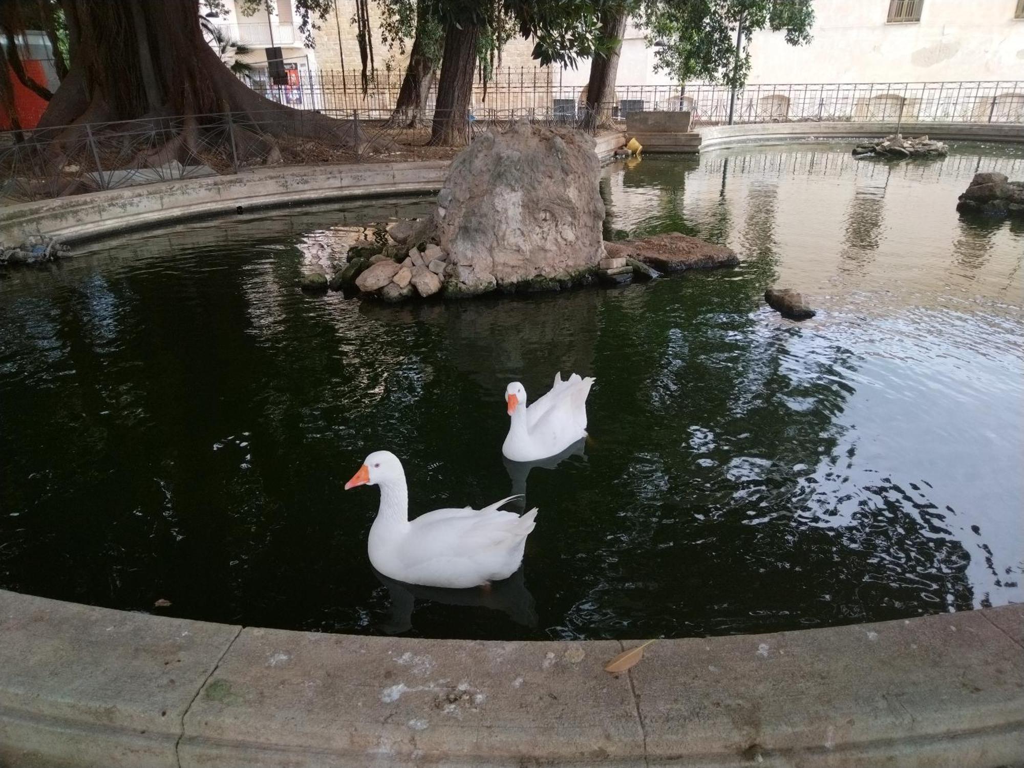 La Casuzza Del Centro Villa Sciacca Eksteriør bilde
